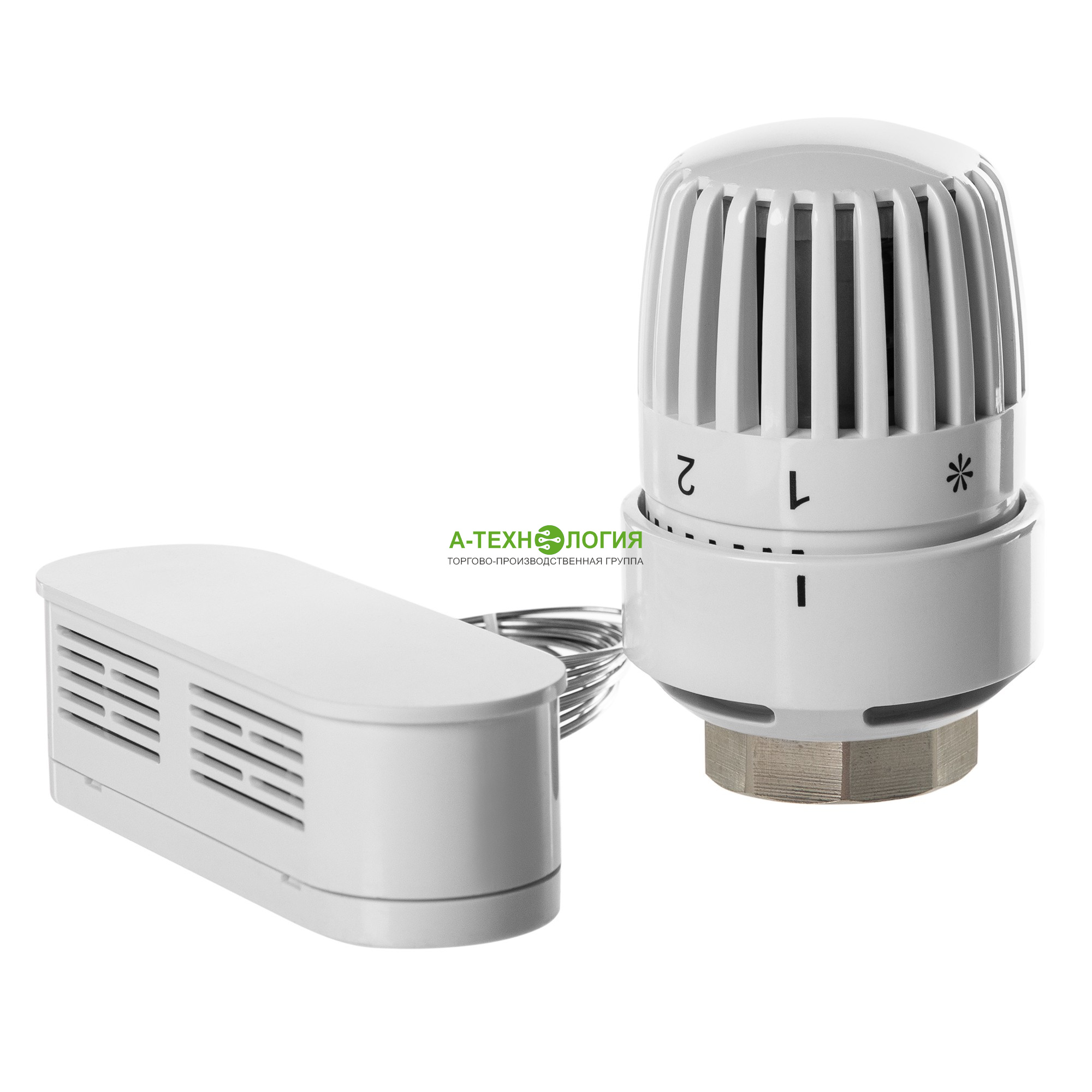 картинка Термостатическая головка ROYAL THERMO BASIC с выносным датчиком М30х1,5 (Белый) А-Технология