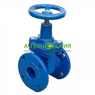 картинка задвижка чугунная 30ч39р ду 50 с обрезиненным клином 